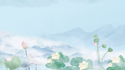 超美荷塘荷花荷叶