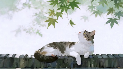 檐上悠闲小猫