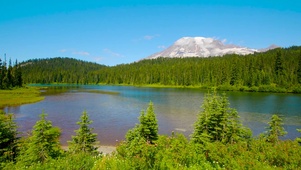 绿林山中湖水