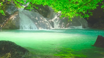 夏日清澈绿水谭