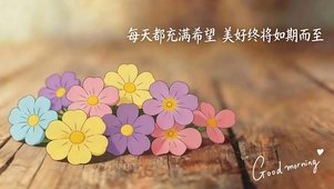 护眼小清新