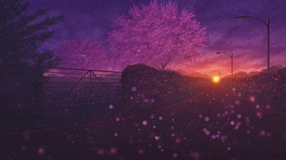 樱花街道
