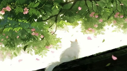 可爱猫咪背影