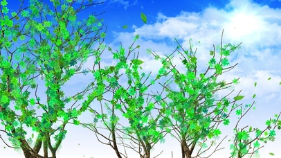 4k大树生长