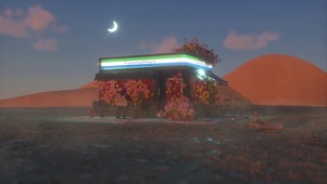 荒野便利店