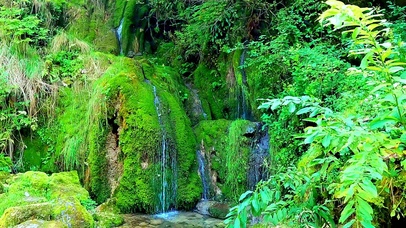 护眼山间小溪 4K