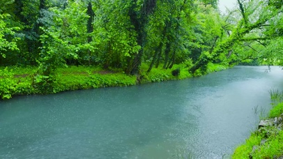 雨天绿林河流