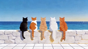看海的猫咪