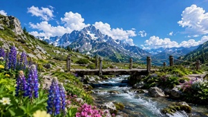 晴空雪山花海溪流治愈风景