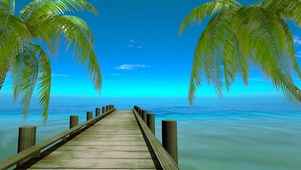 大海椰树