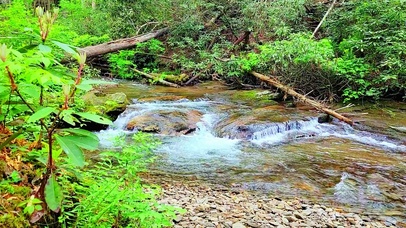 清凉小河流水 4K
