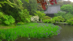 雨天园林