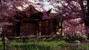 桜の森
