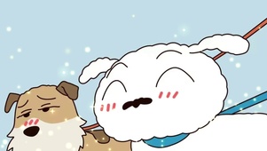 小白和老柴