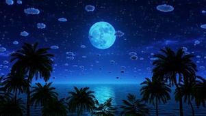舒适唯美星月夜
