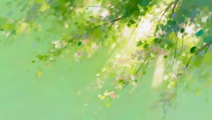 唯美小清新绿叶