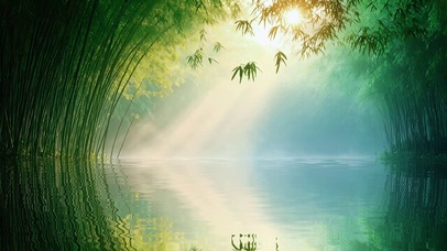 竹林水境