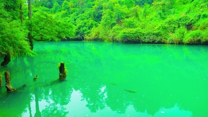 唯美护眼湖泊4K