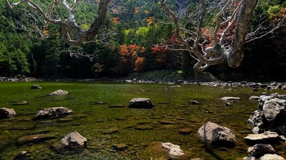 森林公园湖泊