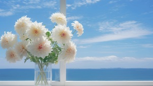 清新治愈海边大丽花