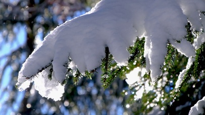 【消暑降温专题】慢镜头雪花飘落