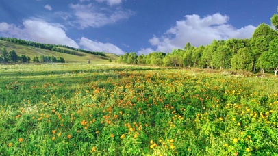 山谷花丛，蓝天绿树