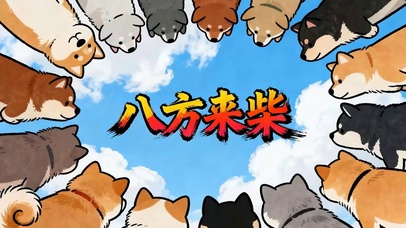 八方来柴