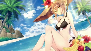 saber的夏天假期