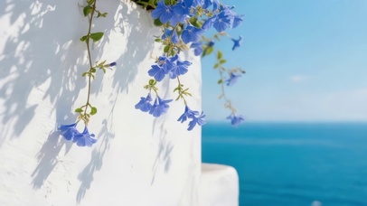 墙边顽强生长的野花