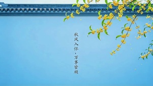 秋风入怀，万事皆顺