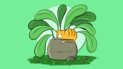 清新可爱喵星人