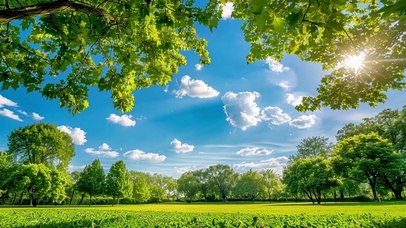 护眼蓝天绿树