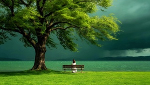 治愈护眼壁纸