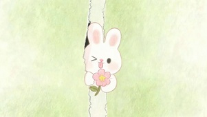 萌宠兔