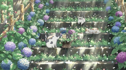 萌宠被遗忘的角落