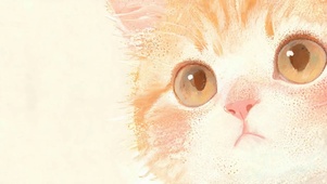 可爱猫咪