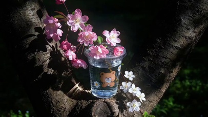 尝一口春天小野花