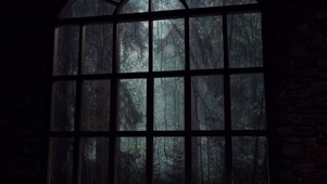 窗外雨景