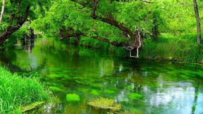 夏日清凉绿水流