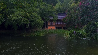 安静大雨池塘