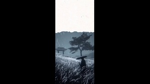 夕阳武士 4k