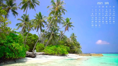 3月日历椰树海滩