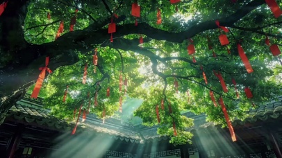 治愈氛围感