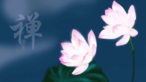 禅音