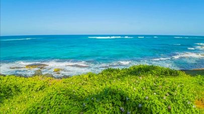 碧海蓝天绿草海浪