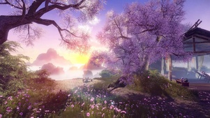 古风山顶夕阳落花