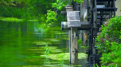 自然护眼水车溪流
