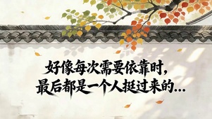 小清新