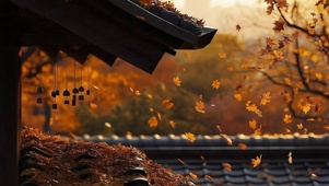 秋日禅意落叶风铃建筑