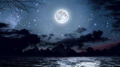 夜海，繁星点点